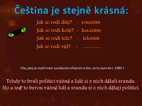 čeština.png