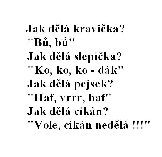 co dodat.JPG