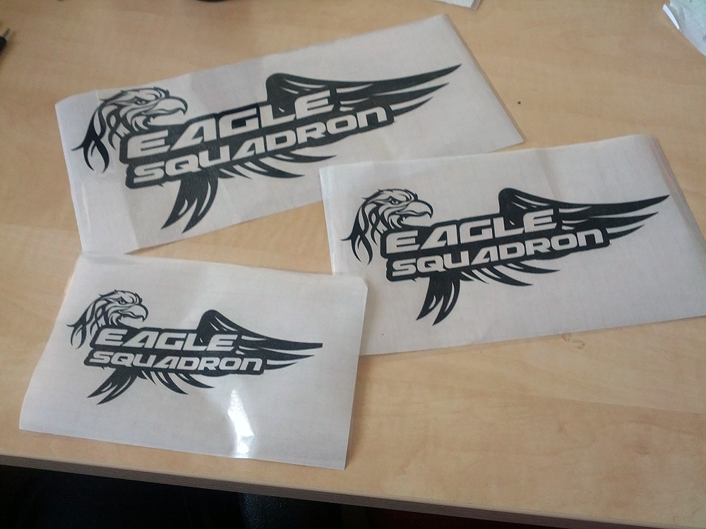 Eagle Squardon Stickers