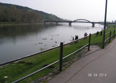 p1.jpg