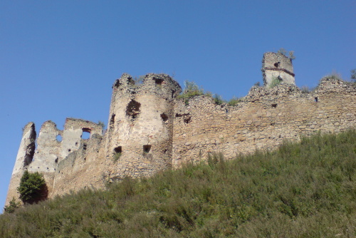DSC00184.jpg