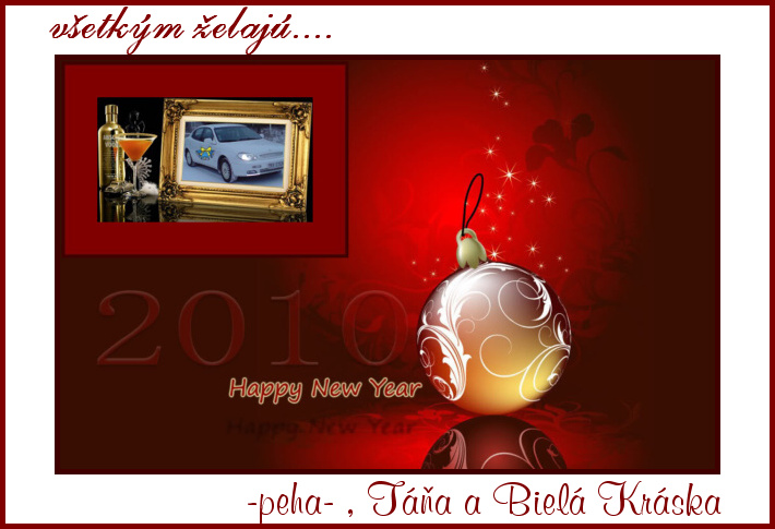 New-Year_2010 (2).jpg