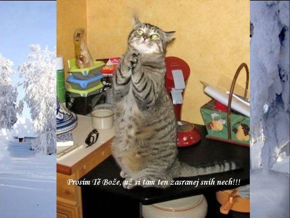 Prosba.JPG