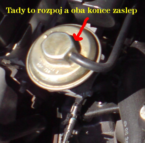 DSC00566.jpg