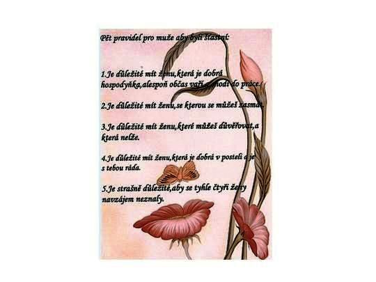 5 pravidel.jpg