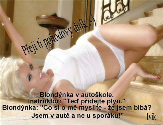 vtip 01.jpg